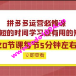 拼多多运营必修课：20节课每节5分钟左右学习最有用的知识