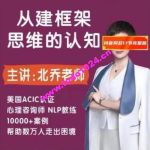 北乔老师重建框架思维的认知17集