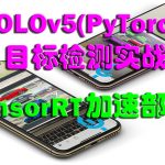 YOLOv5(PyTorch)目标检测实战：TensorRT加速部署