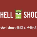 Bash-shellshock漏洞安全测试实践