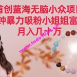 首创蓝海无脑小众项目，2分钟      吸粉小姐姐富太太，月入几十万【揭秘】