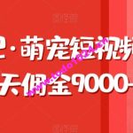 东哲日记·萌宠短视频带货，2天佣金9000+