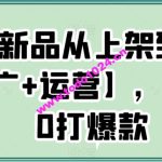 电商新品从上架到打爆【推广+运营】，新手从0打爆款