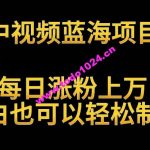 中视频蓝海项目，解读英雄人物生平，每日涨粉上万，小白也可以轻松制作，月入过万不是梦【揭秘】