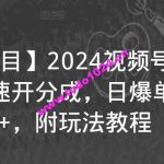 【蓝海项目】2024视频号分成计划，快速开分成，日爆单8000+，附玩法教程