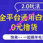 外面收费2980的全平台通用白嫖撸货项目2.0玩法【仅揭秘】