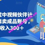 百分百过中视频伙伴计划，仅靠卖成品账号，每天收入300＋【揭秘】