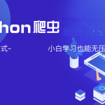 夜猫编程Python爬虫JS逆向进阶课(录播课＋答疑)从零基础到高薪就业编程课