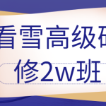 《安卓高级研修班(网课)》月薪两万计划