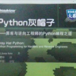 Python灰帽子网络安全实践