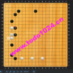 【爱棋道】别中华老师围棋中级提高班32课时