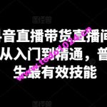 2024抖音直播带货直播间拆解，抖运营从入门到精通，普通人谋生最有效技能