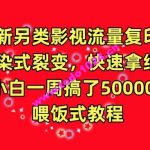 全新另类影视流量复印机，传染式裂变，快速拿结果，小白一周搞了50000+，喂饭式教程【揭秘】