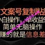 文案号掘金，简单复制粘贴，小白操作，单作品收益900+【揭秘】