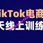 TikTok电商带货30天线上课，不可错过的全球流量洼地！