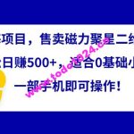 蓝海项目，售卖磁力聚星二维码，轻松日赚500+，适合0基础小白，一部手机即可操作【揭秘】