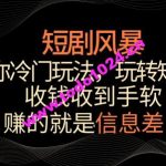 短剧风暴，教你冷门玩法，玩转短剧，收钱收到手软【揭秘】