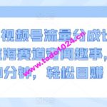 2024视频号流量分成计划，冷门监海赛道奇闻趣事，每天只需30分钟，轻松目赚 1000+【揭秘】