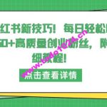 小红书新技巧，每日轻松吸引50+高质量创业粉丝，附详细教程【揭秘】