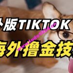 抖音海外版tiktok撸金技术，这个风口行业，赚钱真的不难【揭秘】