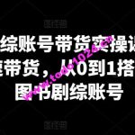 图书剧综账号带货实操课，0基础极速带货，从0到1搭建一个图书剧综账号