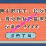 掌握这两个野路子，特效结合神奇布偶，能让粉丝数量飙升，至少增长 5000【揭秘】