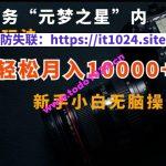 抖音任务“元梦之星”内部最新玩法，新手小白无脑操作，轻松月入10000+【揭秘】