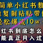 小红书博主到底怎么做，才能复制粘贴不封号，还能爆流引流疯狂变现，全是干货【揭秘】