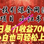 蓝海项目!黑科技引爆全网流量小红书拉新，单日      收益7000+，小白也能轻松上手【揭秘】