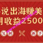 小说出海赚美金，稿费月收益2500+美金，仅需chatgpt粘贴复制，新手也能玩转【揭秘】