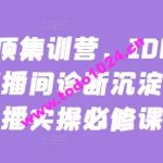 主播登顶集训营，10000+全类目直播间诊断沉淀出的直播实操必修课