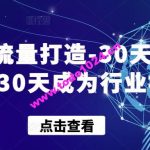 实体流量打造-30天特训营，30天成为行业标杆