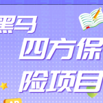 黑马四方保险项目