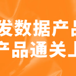 开发数据产品+AI产品通关上岸