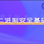 二进制安全系列教程