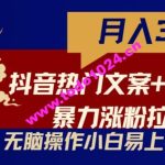 抖音热门文案+网易云截图      涨粉拉爆收益玩法，小白无脑操作，简单易上手【揭秘】