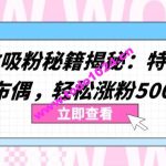 两个高效吸粉秘籍揭秘：特效加持与神奇布偶，轻松涨粉5000+【揭秘】