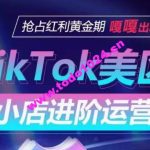 TikTok Shop美区小店进阶运营，抢占红利黄金期 嘎嘎出单