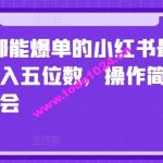 2024天天都能爆单的小红书最新玩法，月入五位数，操作简单，一学就会【揭秘】