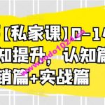 小红薯【私家课】0-1小白运营认知提升，认知篇+营销篇+实战篇