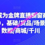 从0-1成为金牌直播橱窗商品卡运营3.0，基础/货品/场景/话术/数据/商城/千川