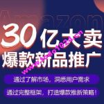 亚马逊·30亿大卖爆款新品推广，可复制、全程案例实操的爆款推新SOP