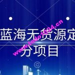 淘宝蓝海无货源定制细分项目，从0到起店实操全流程【揭秘】