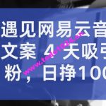 抖音遇见网易云音乐，新奇文案 4 天吸引 5W 粉，日挣1000+【揭秘】