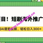 蓝海项目!短剧海外推广赚美金，利用AI混剪视频，轻松日入300+【揭秘】