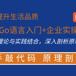 16天Go语言入门+企业实操教程