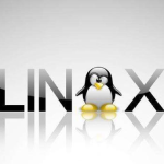 Linux基础命令讲解