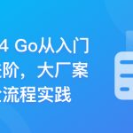 Go从入门到进阶，大厂案例全流程实践