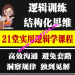 逻辑思维结构化框架教程 咨询顾问大脑思考分析解决问题方法教程