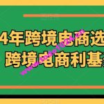 2024年跨境电商选品案例，跨境电商利基选品